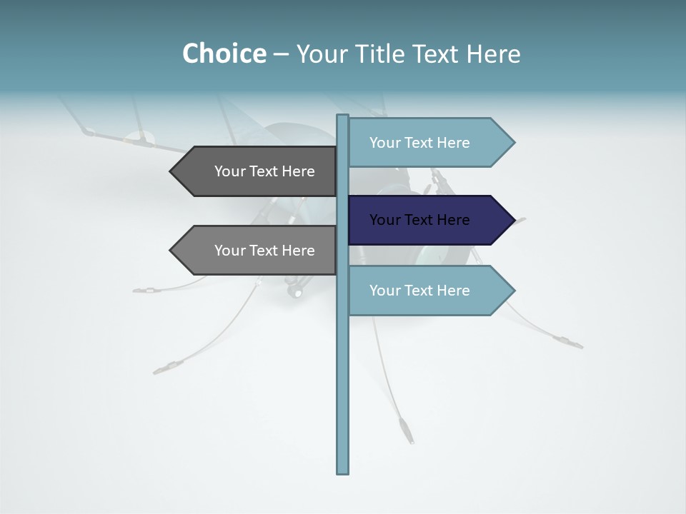 Fly Housefly Illustration PowerPoint Template