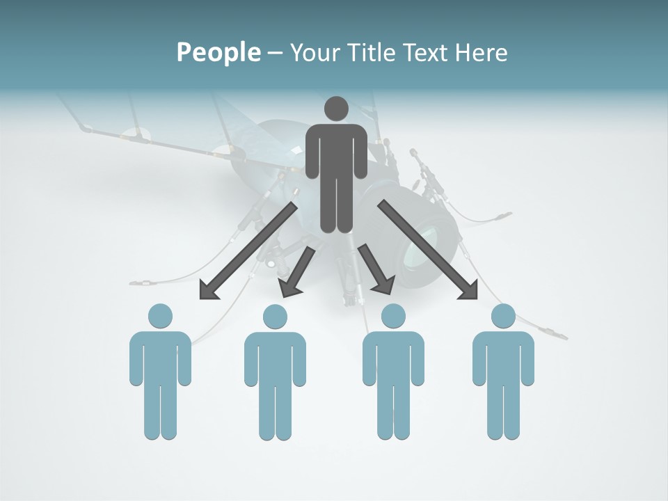 Fly Housefly Illustration PowerPoint Template