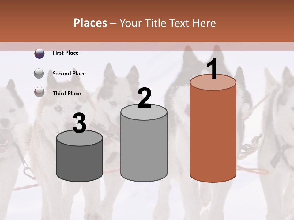Canine Huskys Team PowerPoint Template