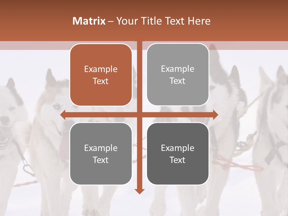 Canine Huskys Team PowerPoint Template