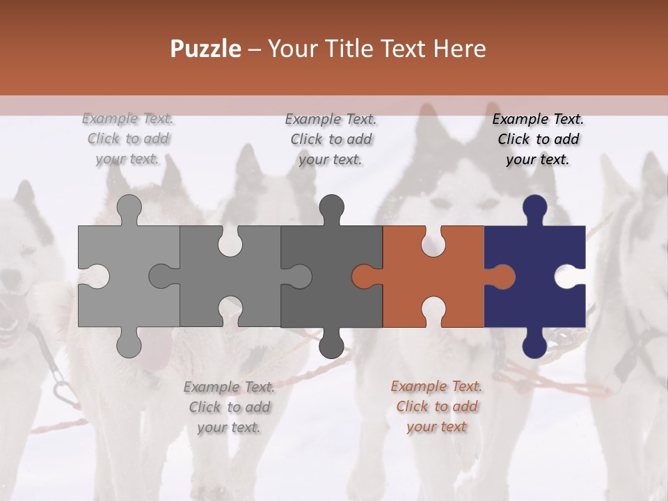 Canine Huskys Team PowerPoint Template
