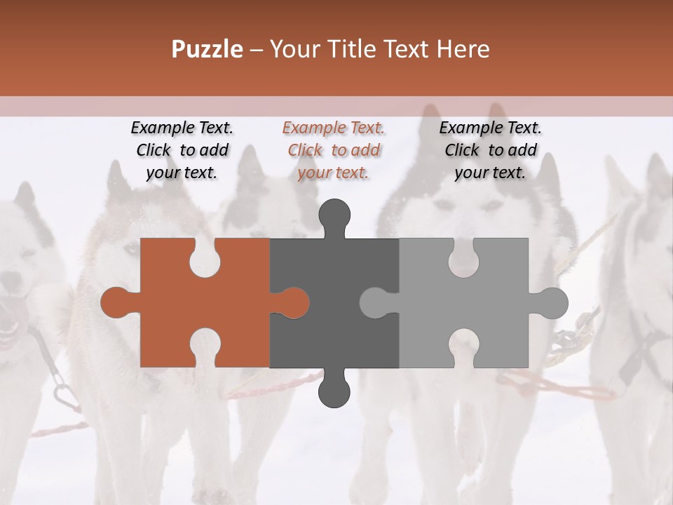 Canine Huskys Team PowerPoint Template