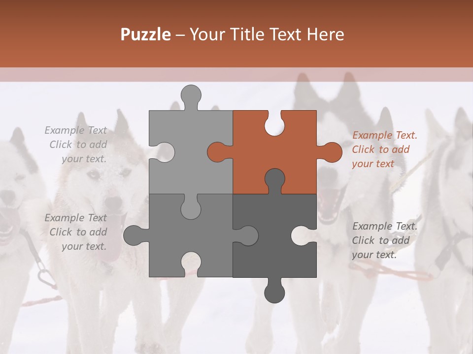 Canine Huskys Team PowerPoint Template