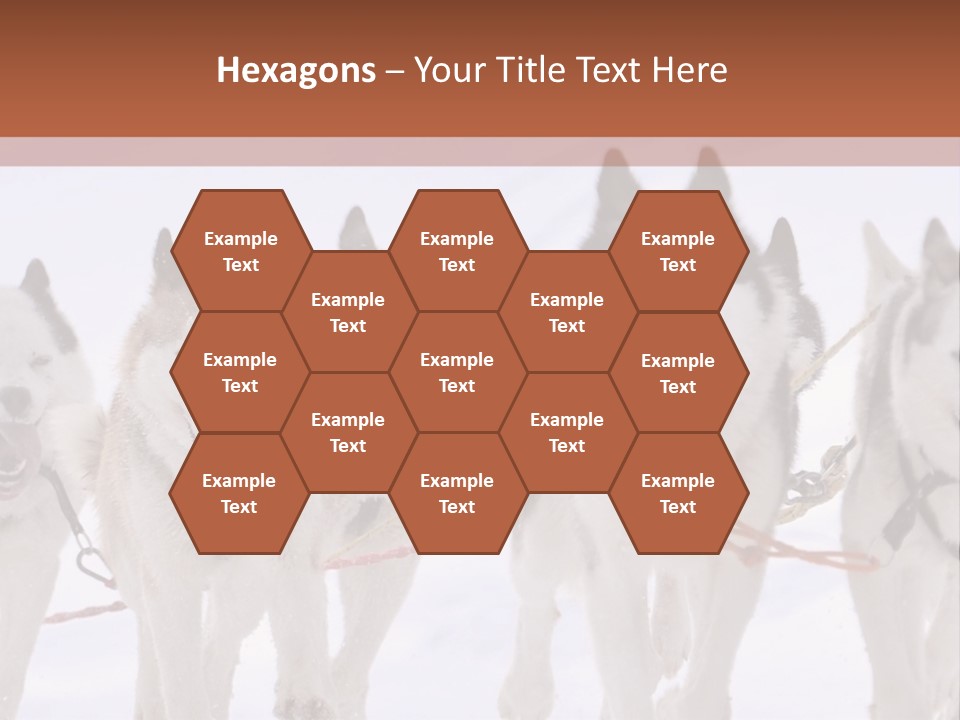 Canine Huskys Team PowerPoint Template