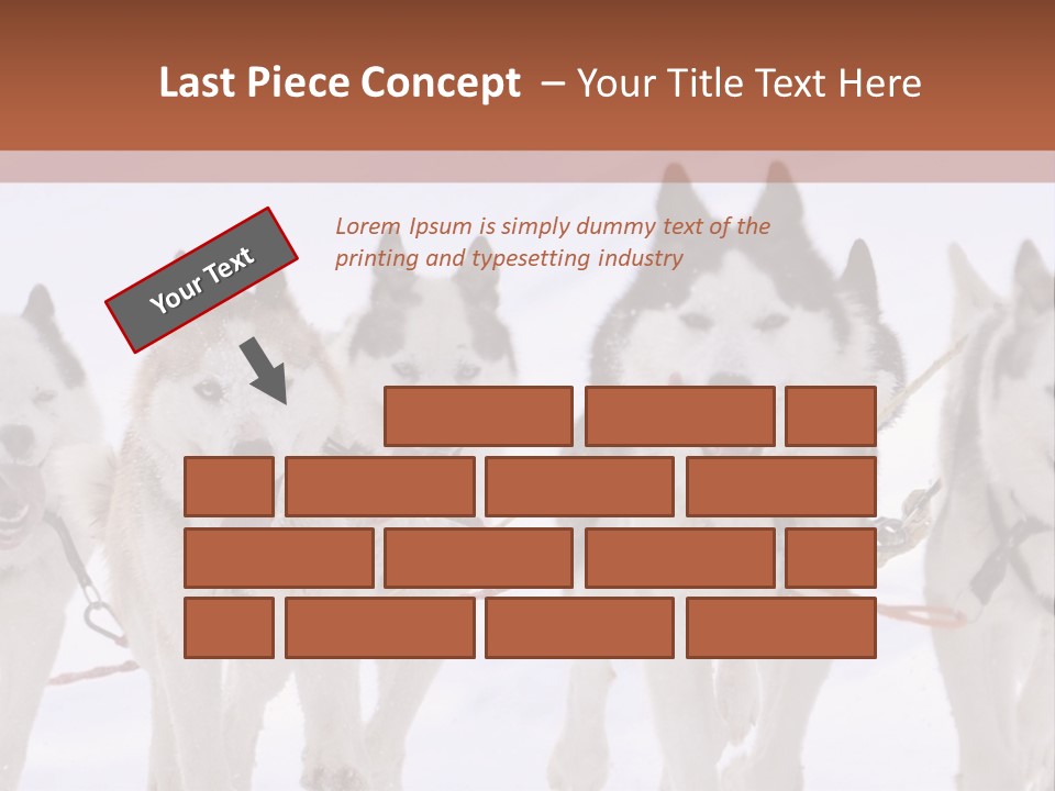 Canine Huskys Team PowerPoint Template