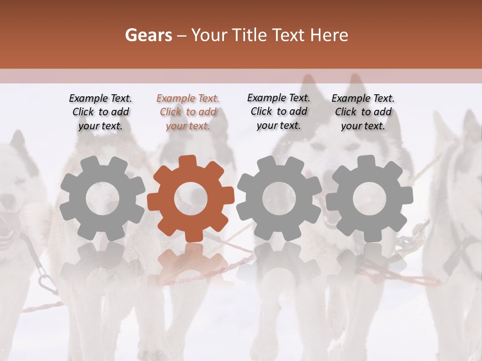 Canine Huskys Team PowerPoint Template