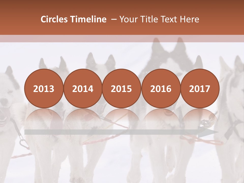 Canine Huskys Team PowerPoint Template