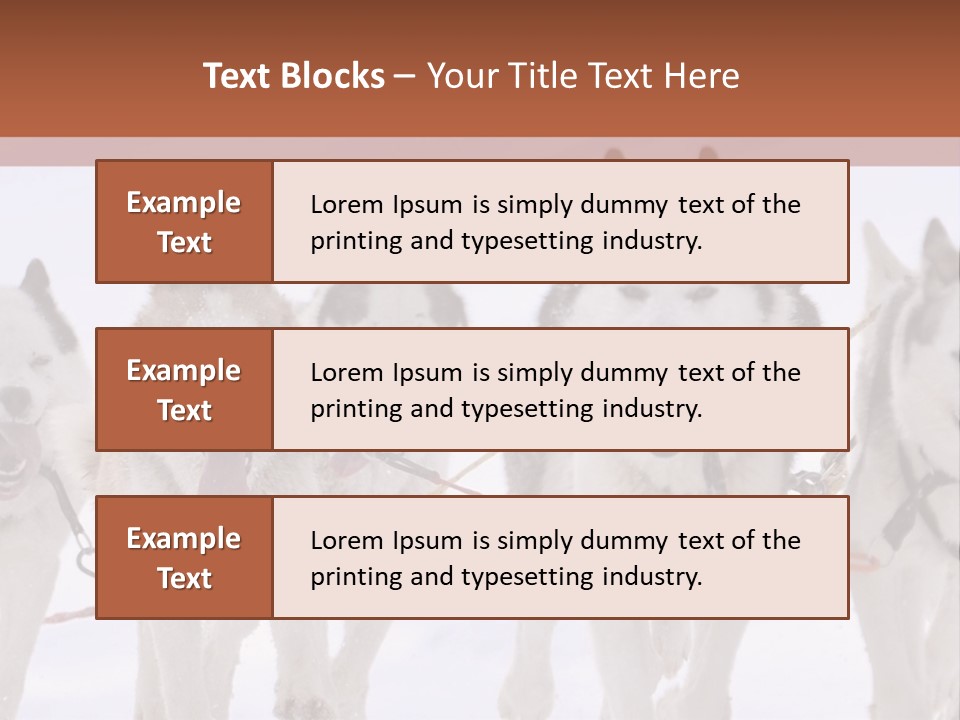 Canine Huskys Team PowerPoint Template
