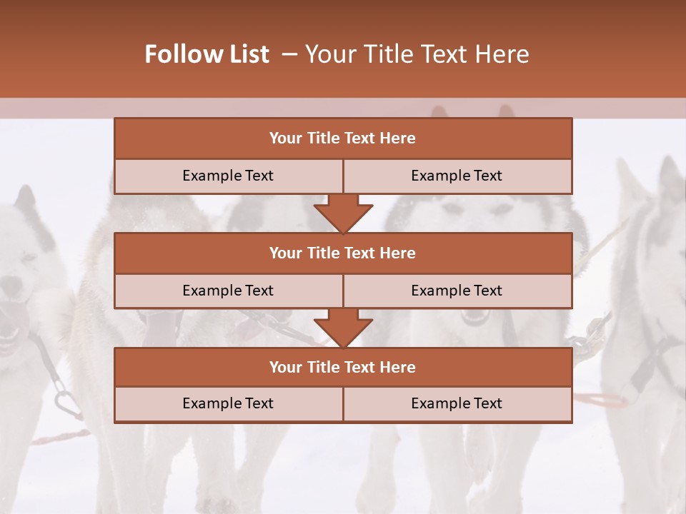 Canine Huskys Team PowerPoint Template