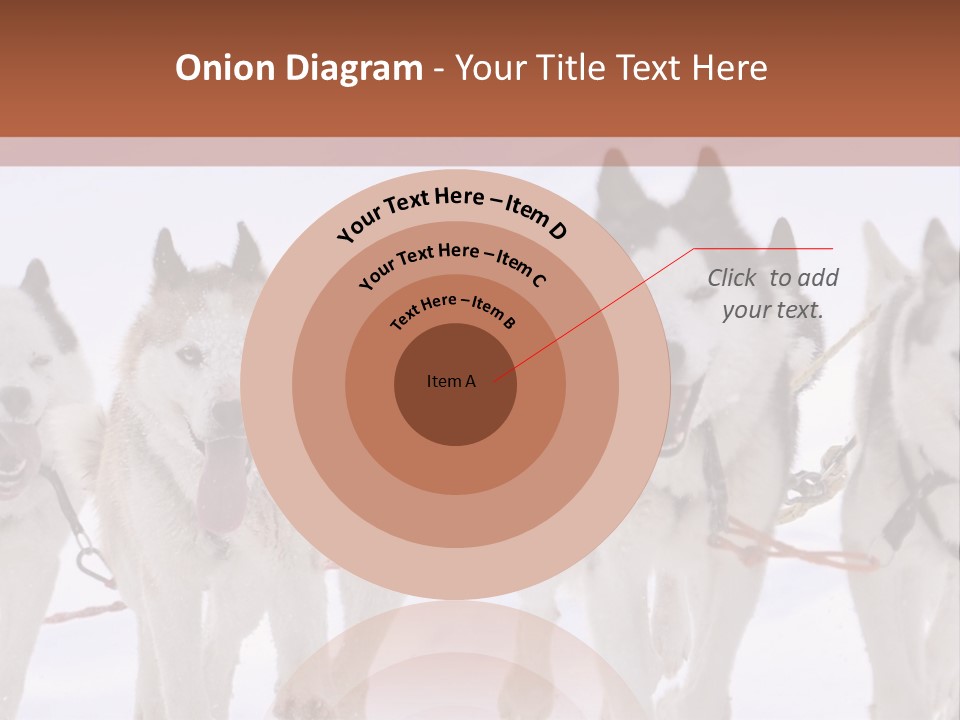 Canine Huskys Team PowerPoint Template