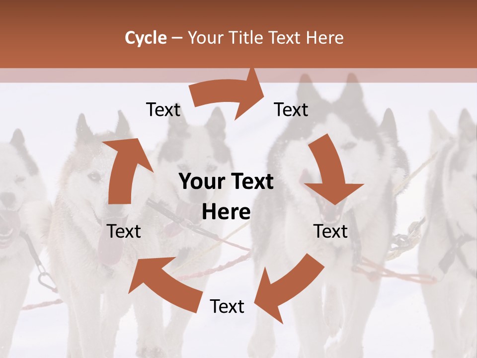 Canine Huskys Team PowerPoint Template