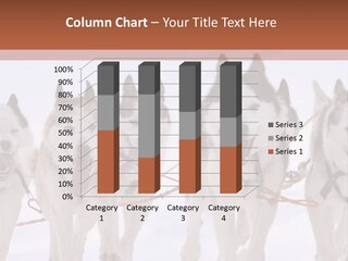 Canine Huskys Team PowerPoint Template