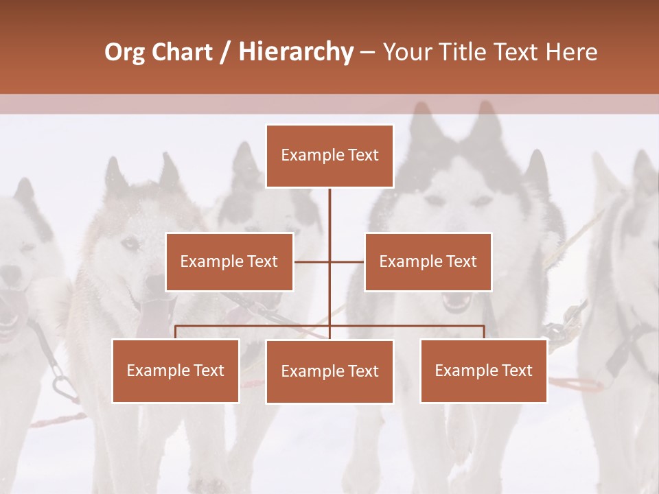 Canine Huskys Team PowerPoint Template