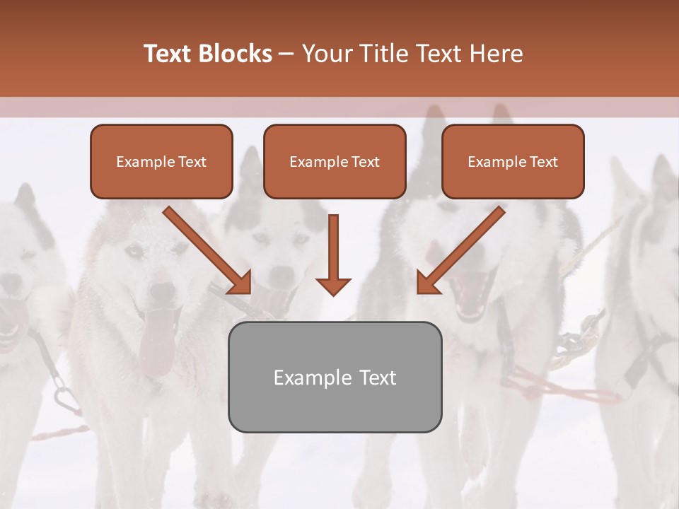 Canine Huskys Team PowerPoint Template