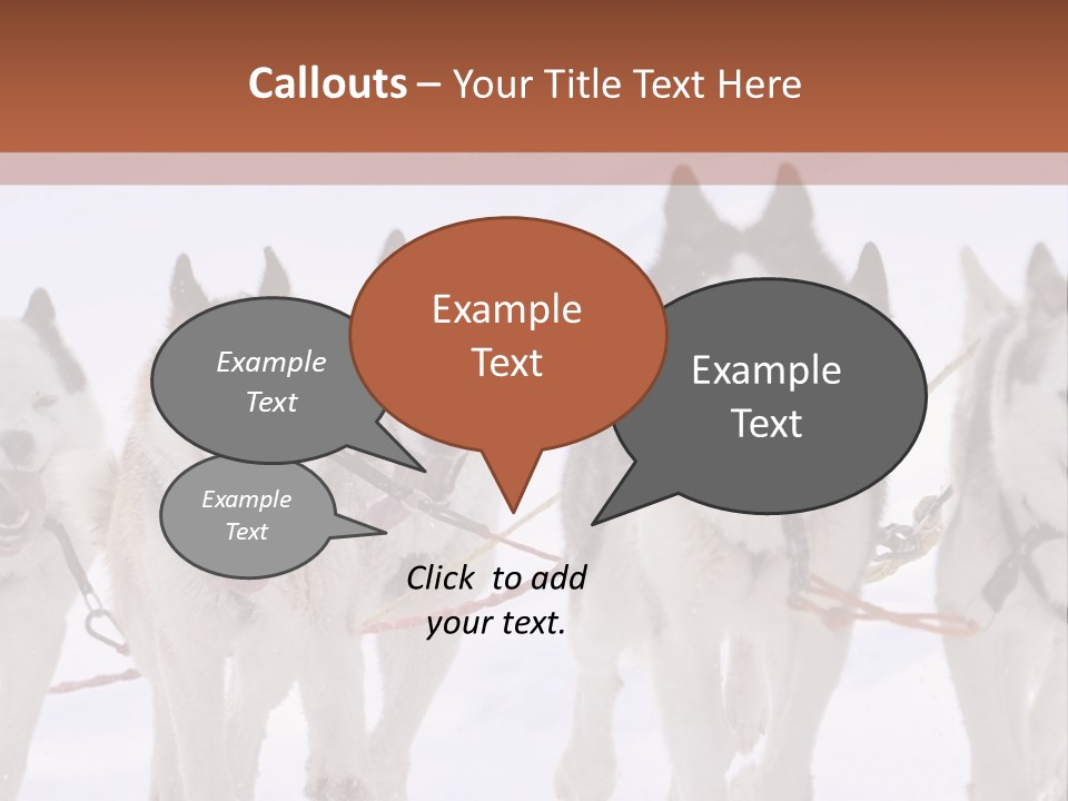 Canine Huskys Team PowerPoint Template