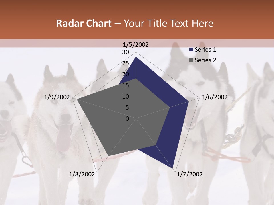 Canine Huskys Team PowerPoint Template