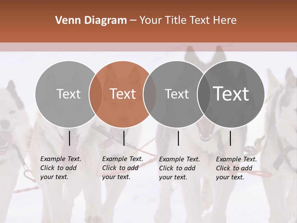 Canine Huskys Team PowerPoint Template