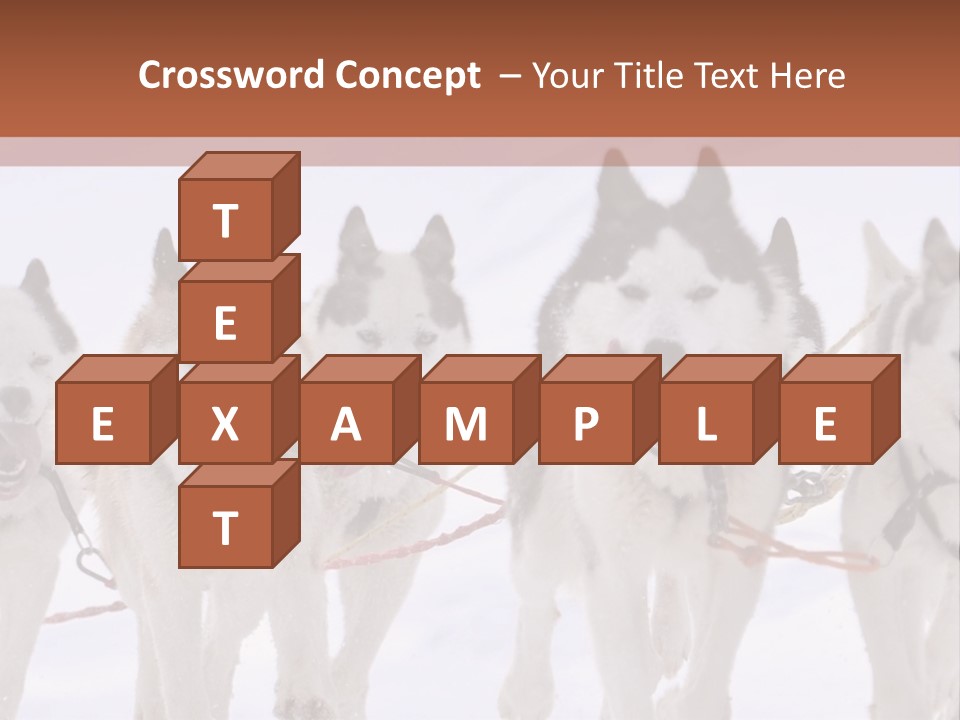 Canine Huskys Team PowerPoint Template
