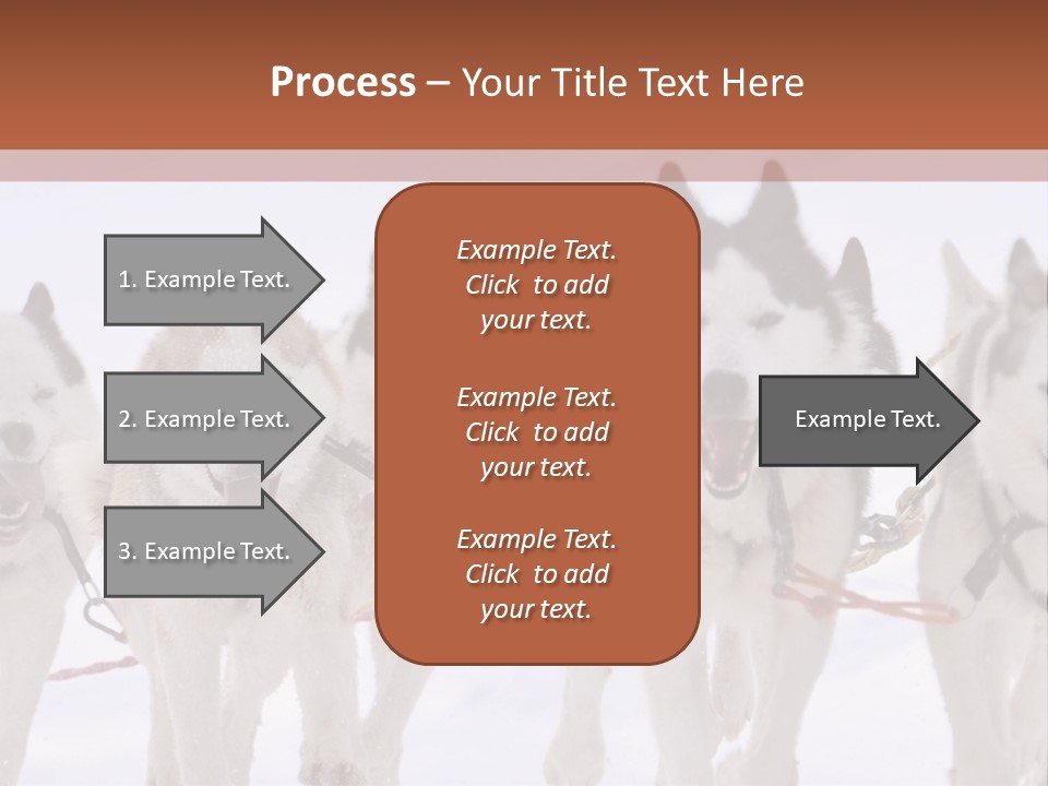 Canine Huskys Team PowerPoint Template