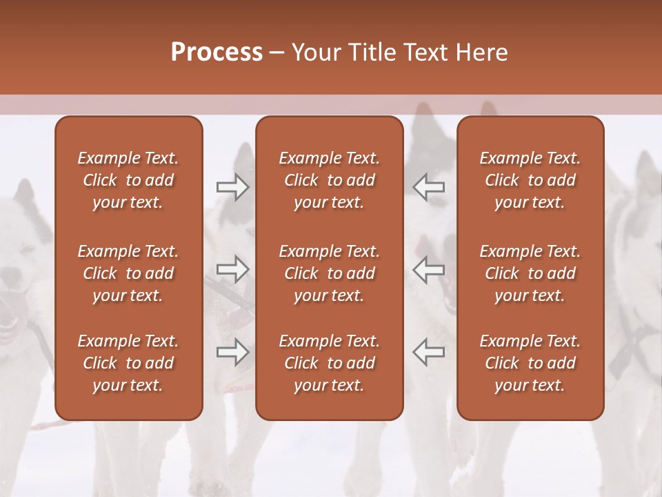 Canine Huskys Team PowerPoint Template