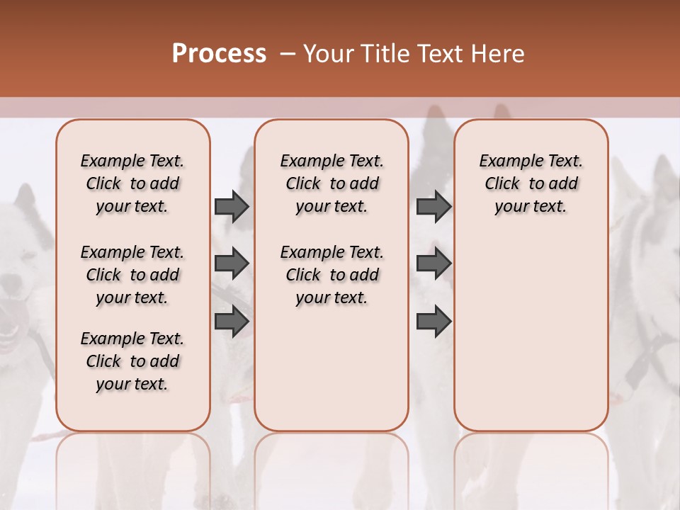 Canine Huskys Team PowerPoint Template