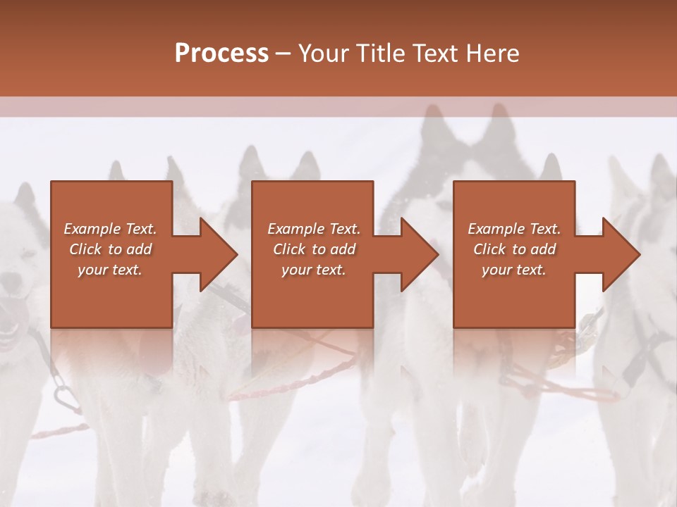 Canine Huskys Team PowerPoint Template