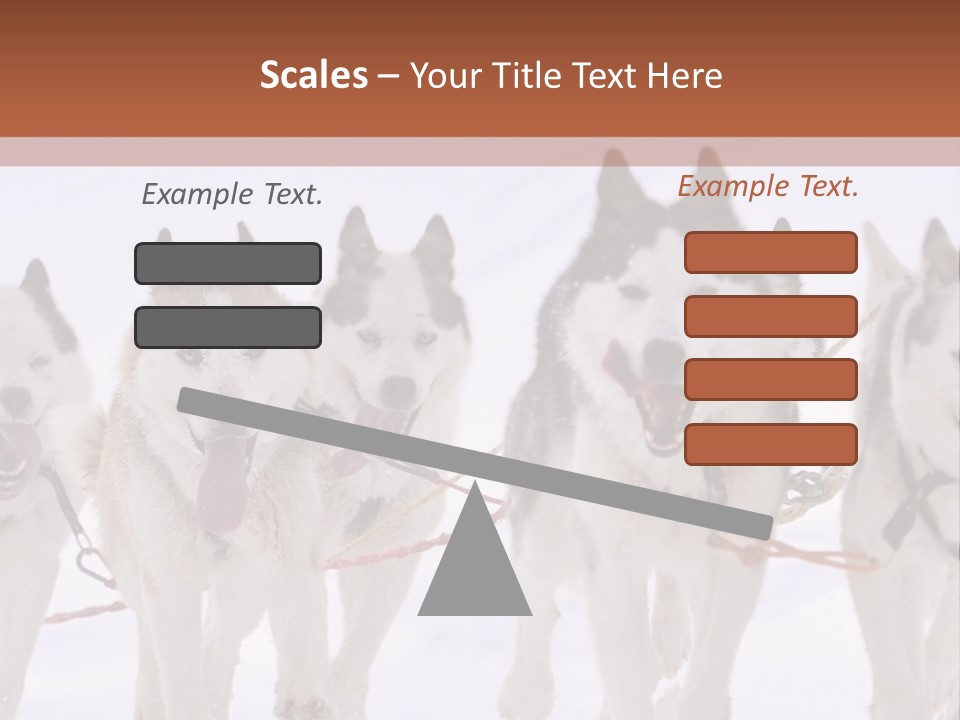 Canine Huskys Team PowerPoint Template
