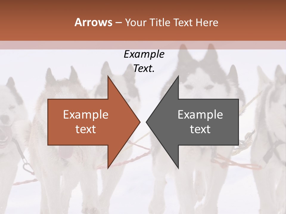 Canine Huskys Team PowerPoint Template