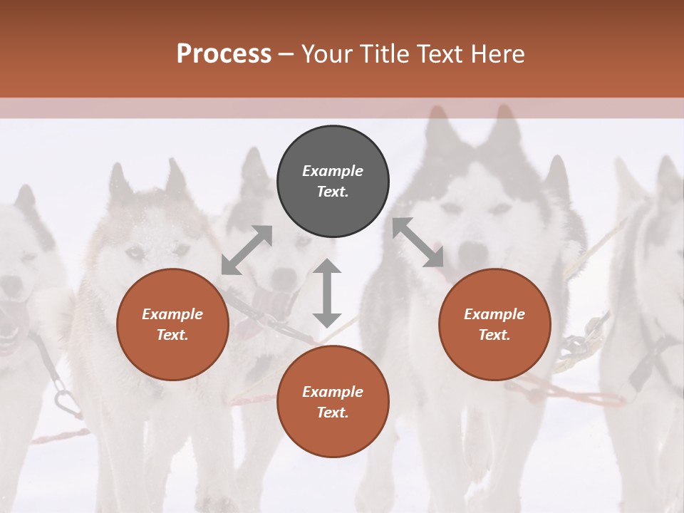 Canine Huskys Team PowerPoint Template