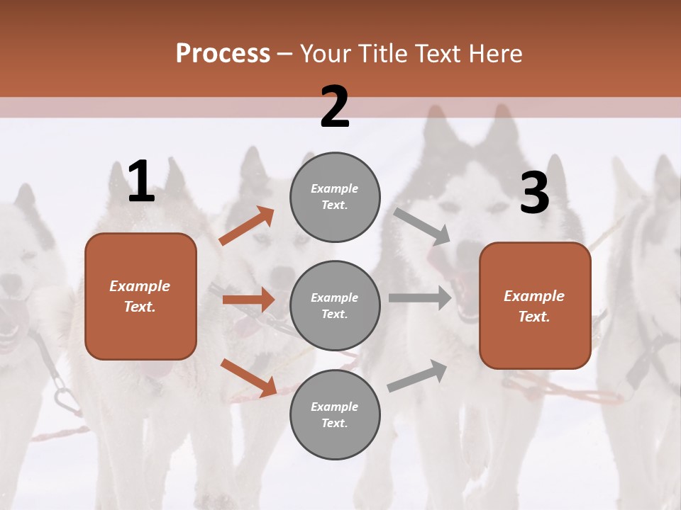 Canine Huskys Team PowerPoint Template
