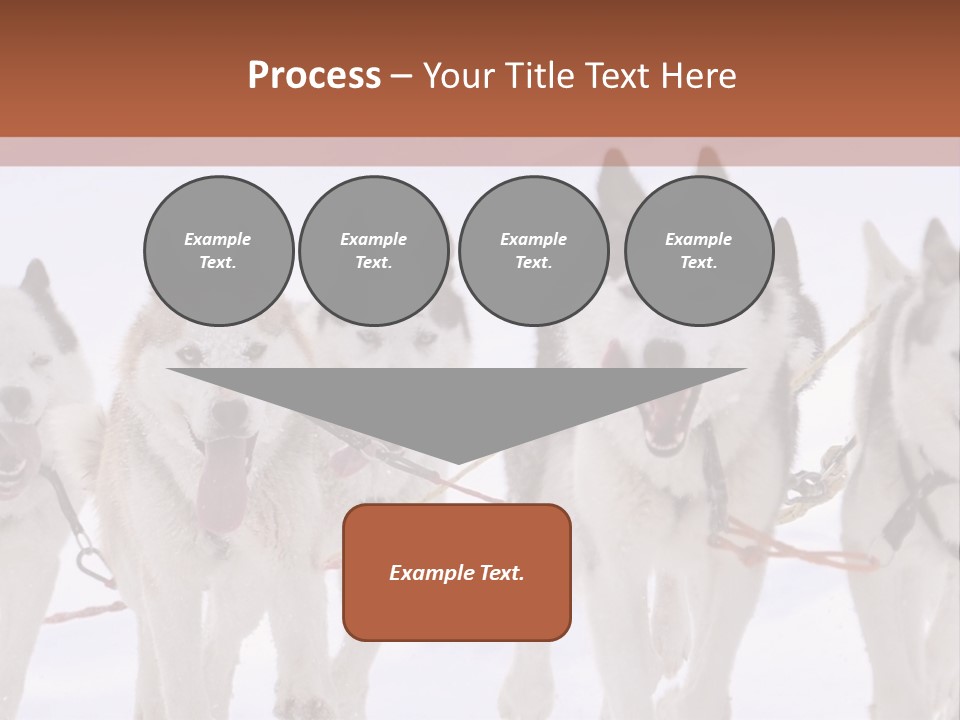 Canine Huskys Team PowerPoint Template