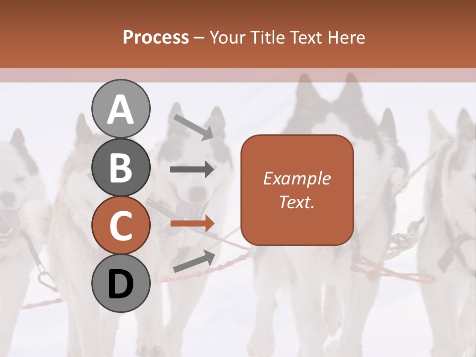 Canine Huskys Team PowerPoint Template