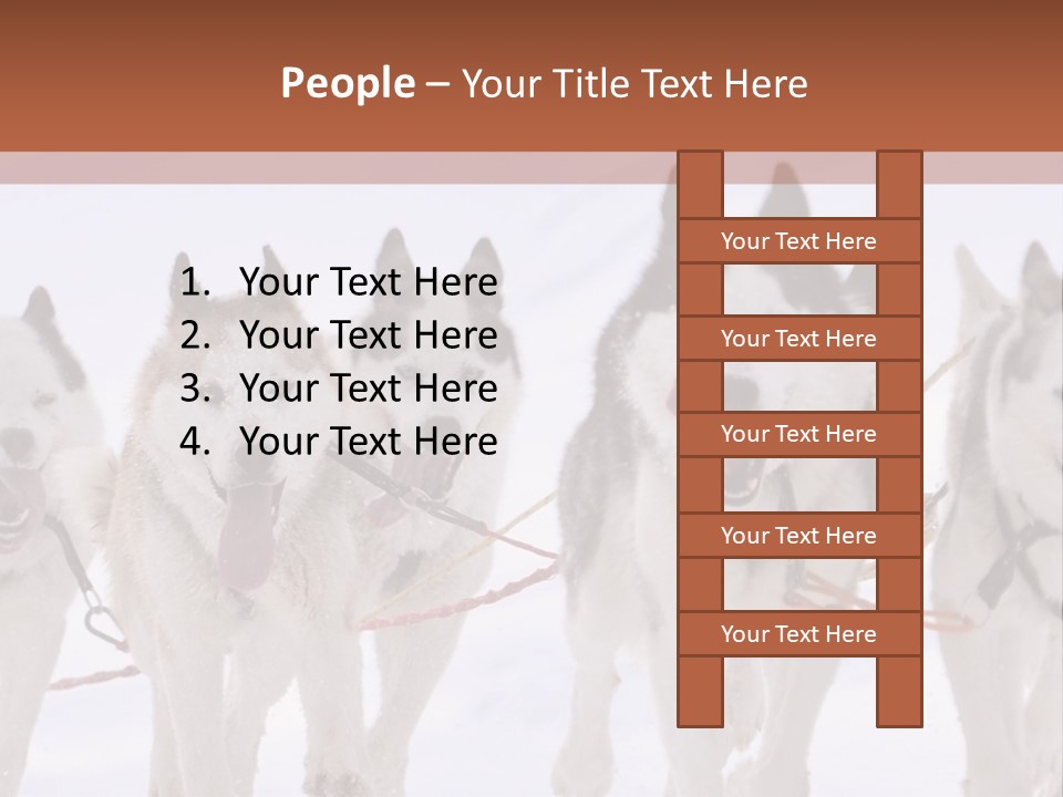 Canine Huskys Team PowerPoint Template