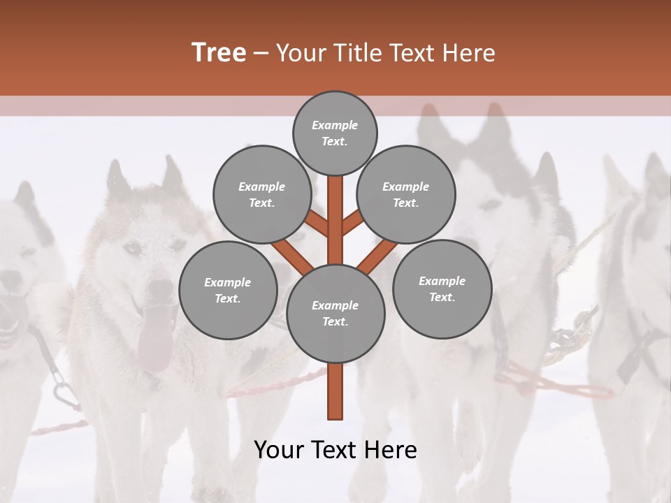 Canine Huskys Team PowerPoint Template