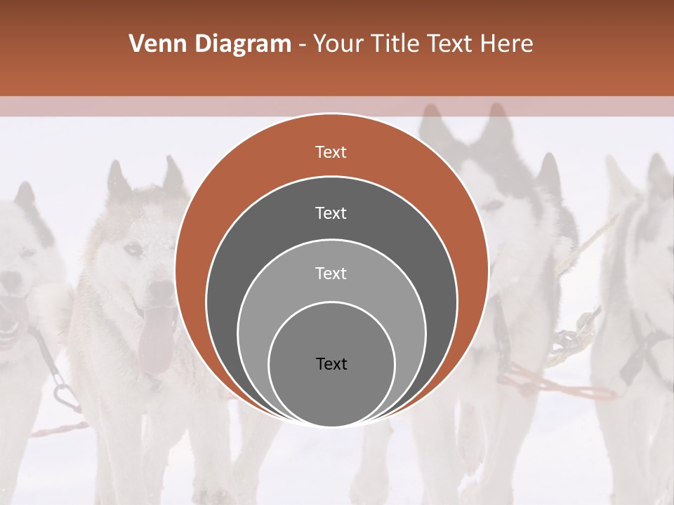 Canine Huskys Team PowerPoint Template