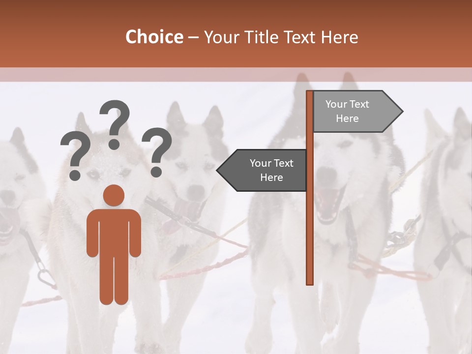 Canine Huskys Team PowerPoint Template