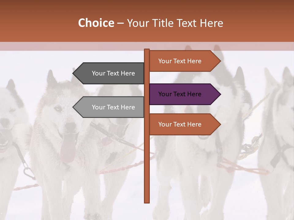 Canine Huskys Team PowerPoint Template