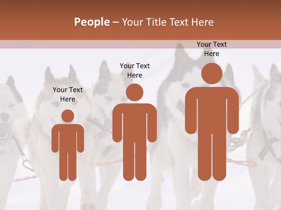 Canine Huskys Team PowerPoint Template