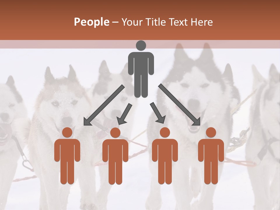 Canine Huskys Team PowerPoint Template