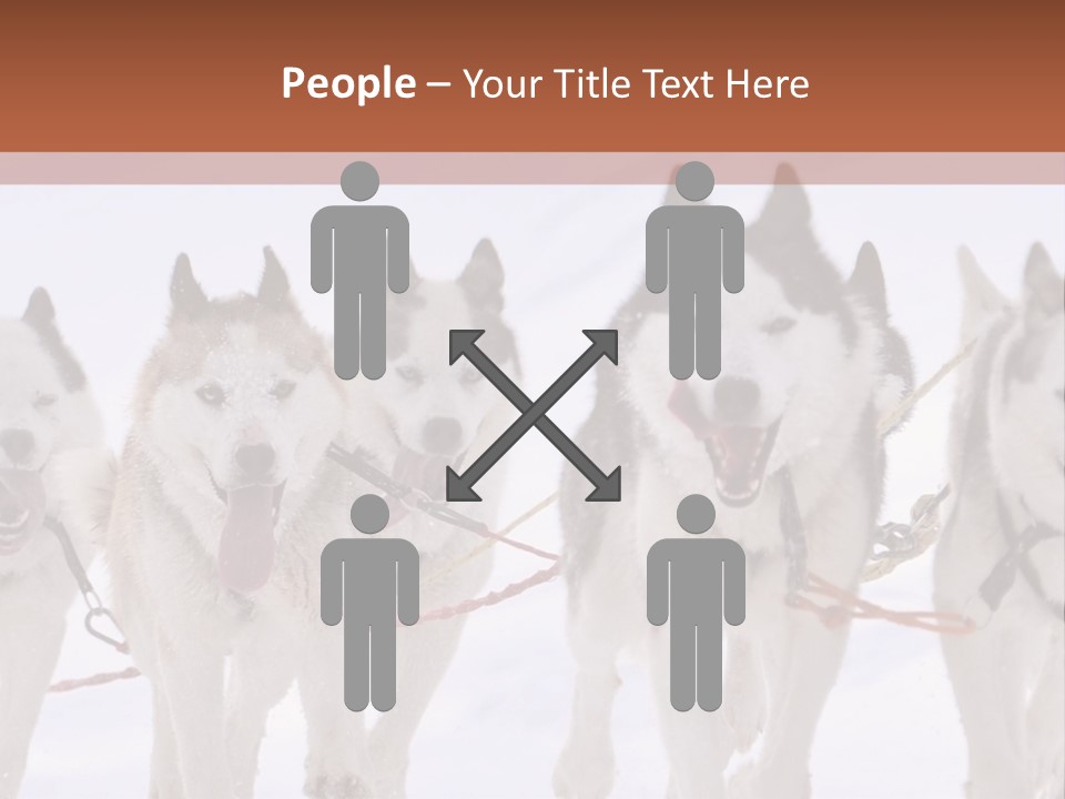 Canine Huskys Team PowerPoint Template