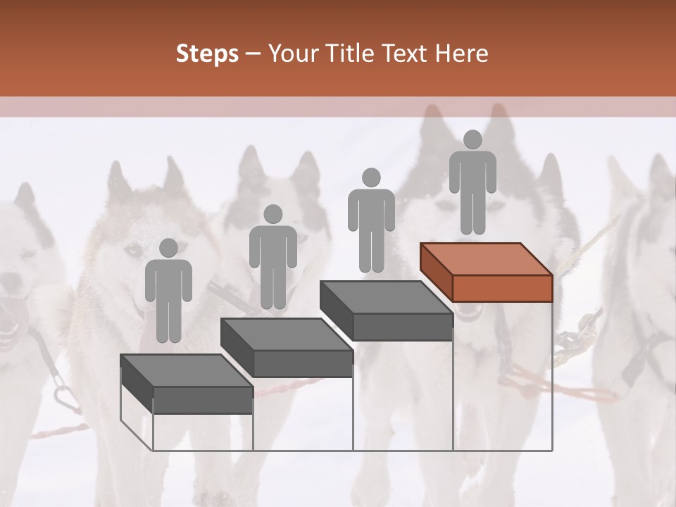 Canine Huskys Team PowerPoint Template