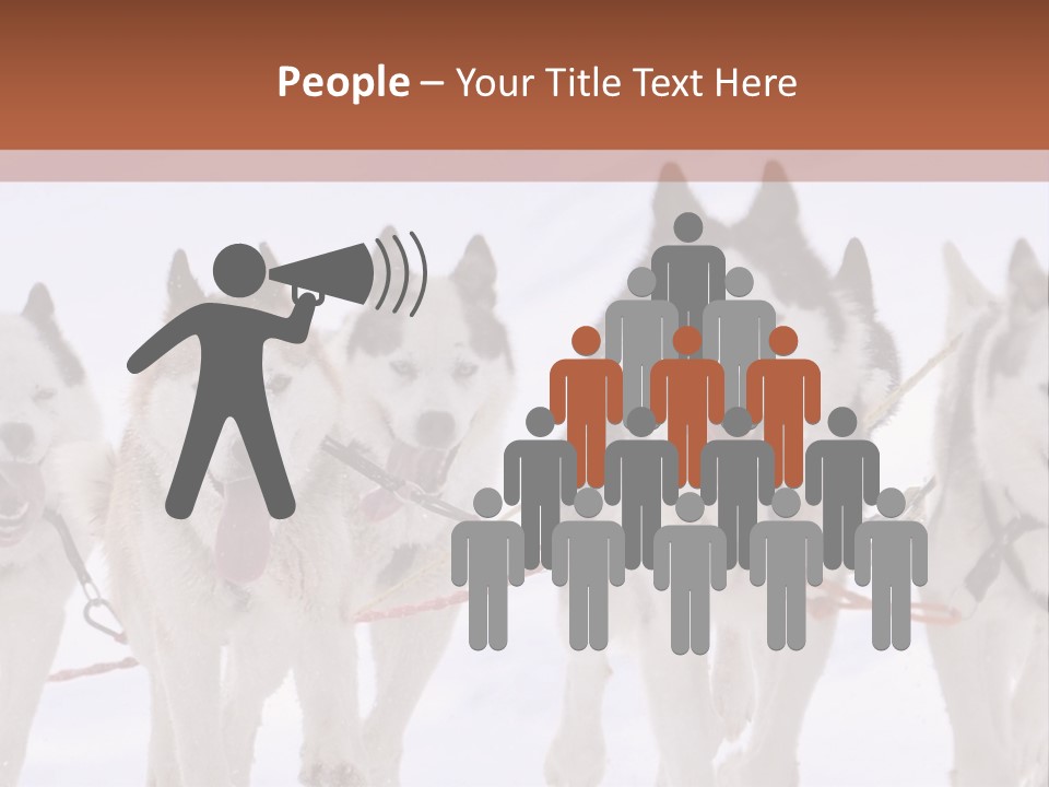 Canine Huskys Team PowerPoint Template
