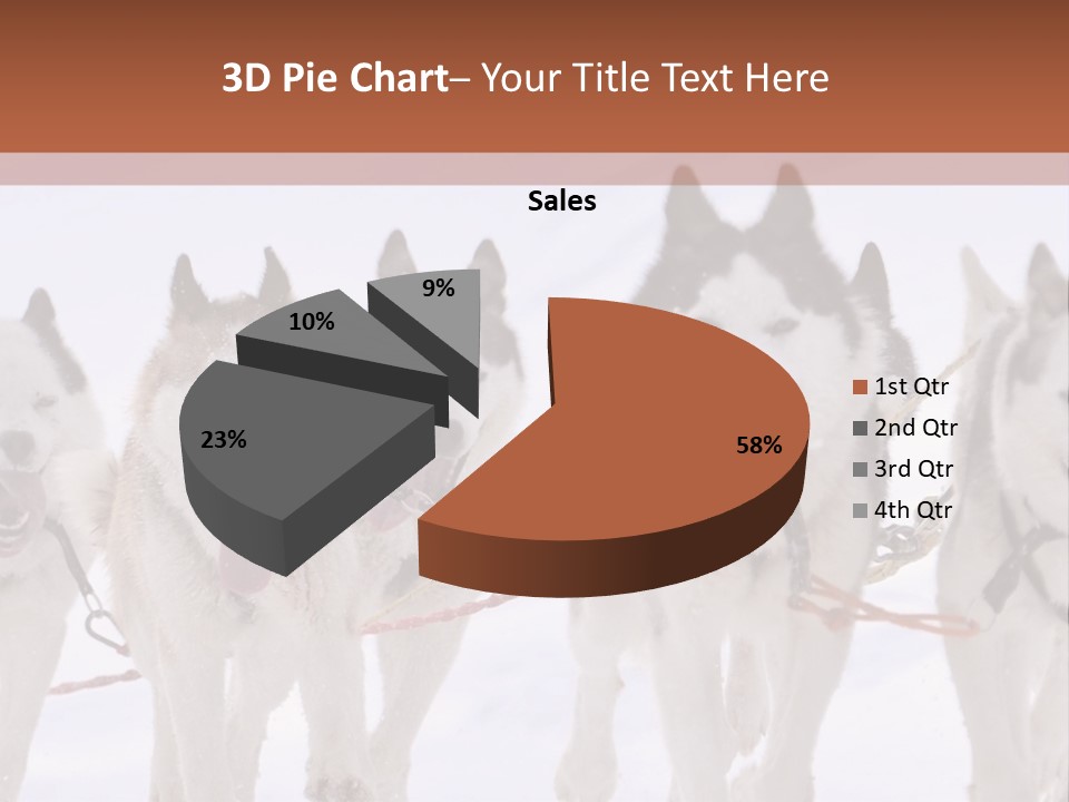 Canine Huskys Team PowerPoint Template