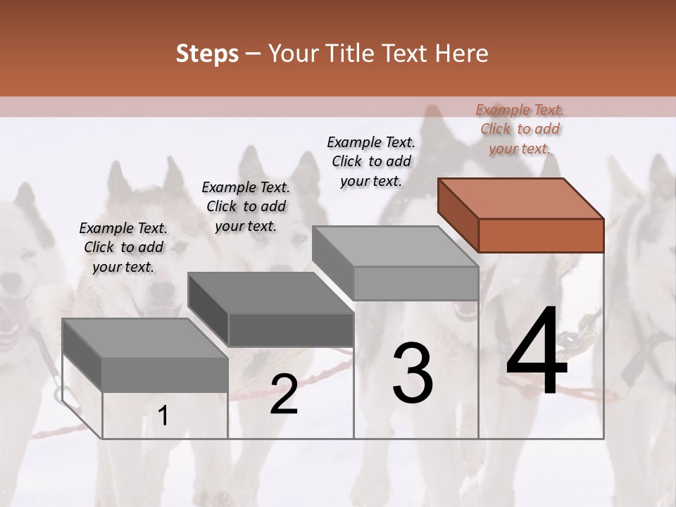 Canine Huskys Team PowerPoint Template