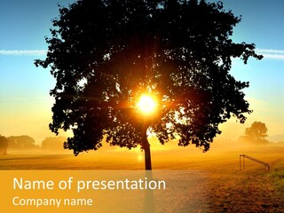 Back Sun Sky PowerPoint Template