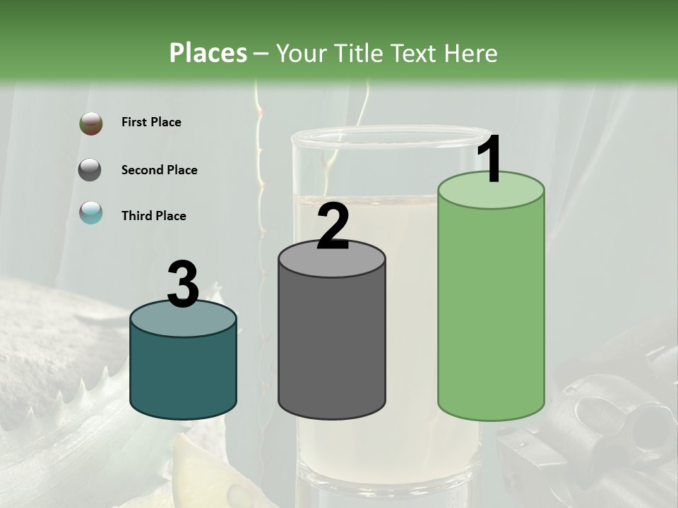 Female Beauty Recreation PowerPoint Template