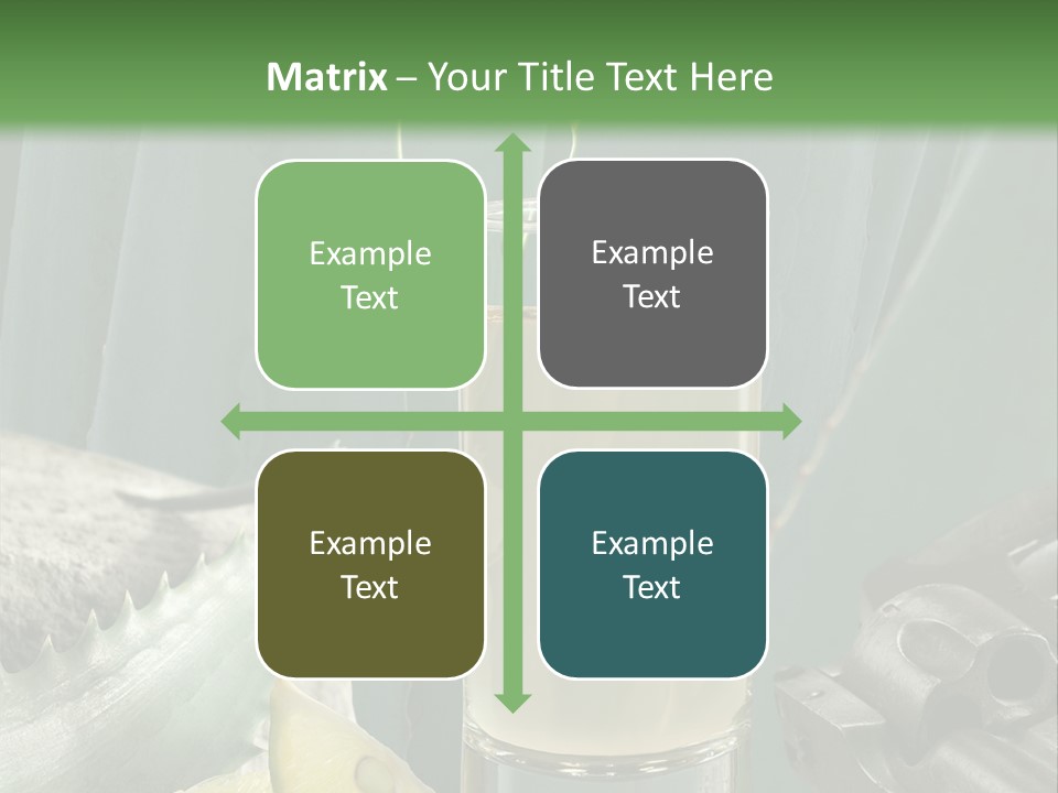 Female Beauty Recreation PowerPoint Template