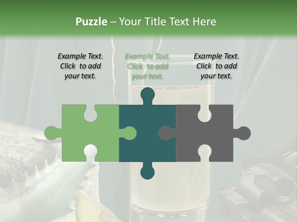 Female Beauty Recreation PowerPoint Template