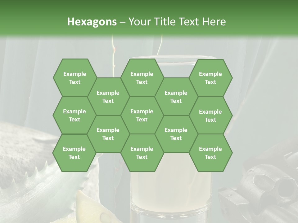 Female Beauty Recreation PowerPoint Template