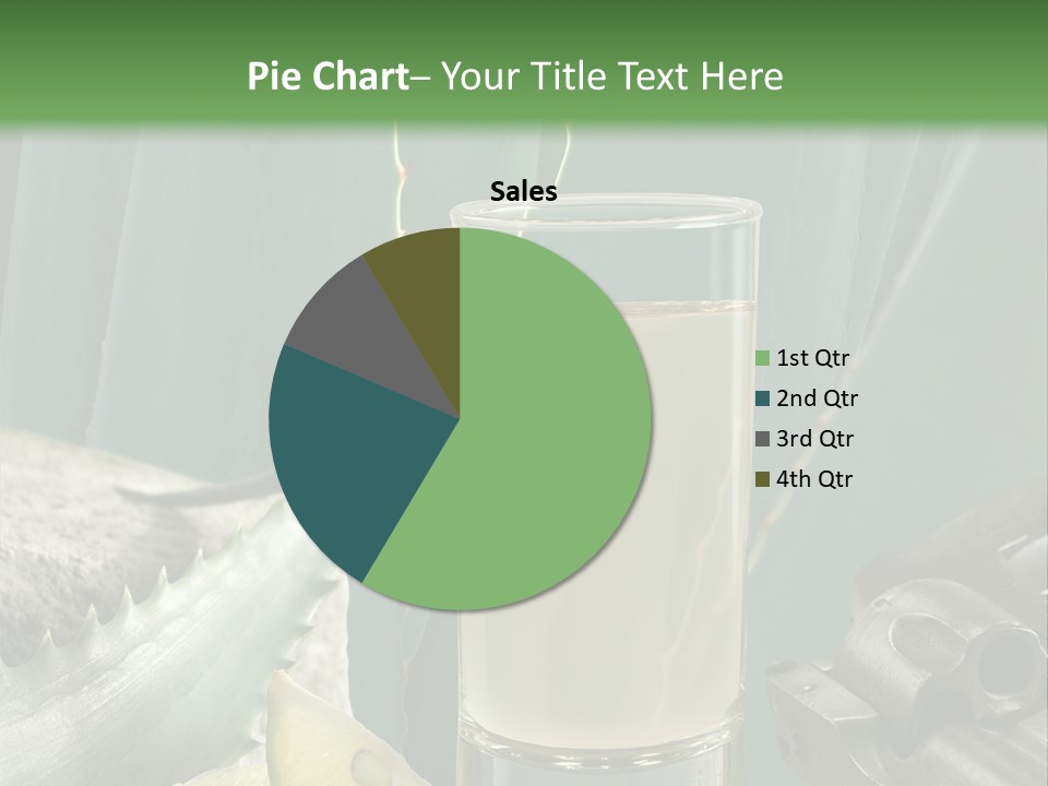 Female Beauty Recreation PowerPoint Template